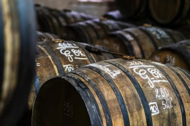 Călătorii epicuriene: Tururi ale podgoriilor din Franța și Italia pentru pasionații de vin