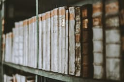 Top 5 jachete de piele care nu se demodează niciodată