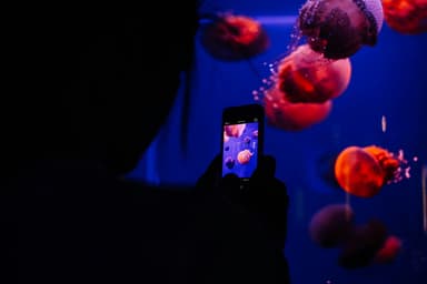Tehnologie subacvatică: Iahturile inteligente și jucăriile high-tech pentru ocean