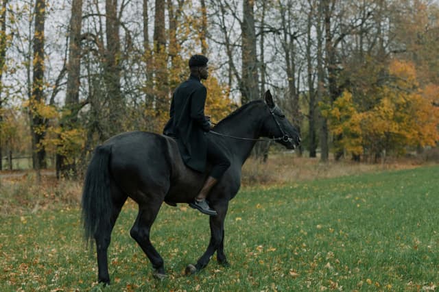 Mind & Body: 5 sporturi preferate de gentlemenii de succes (golf, echitație, yachting etc.)
